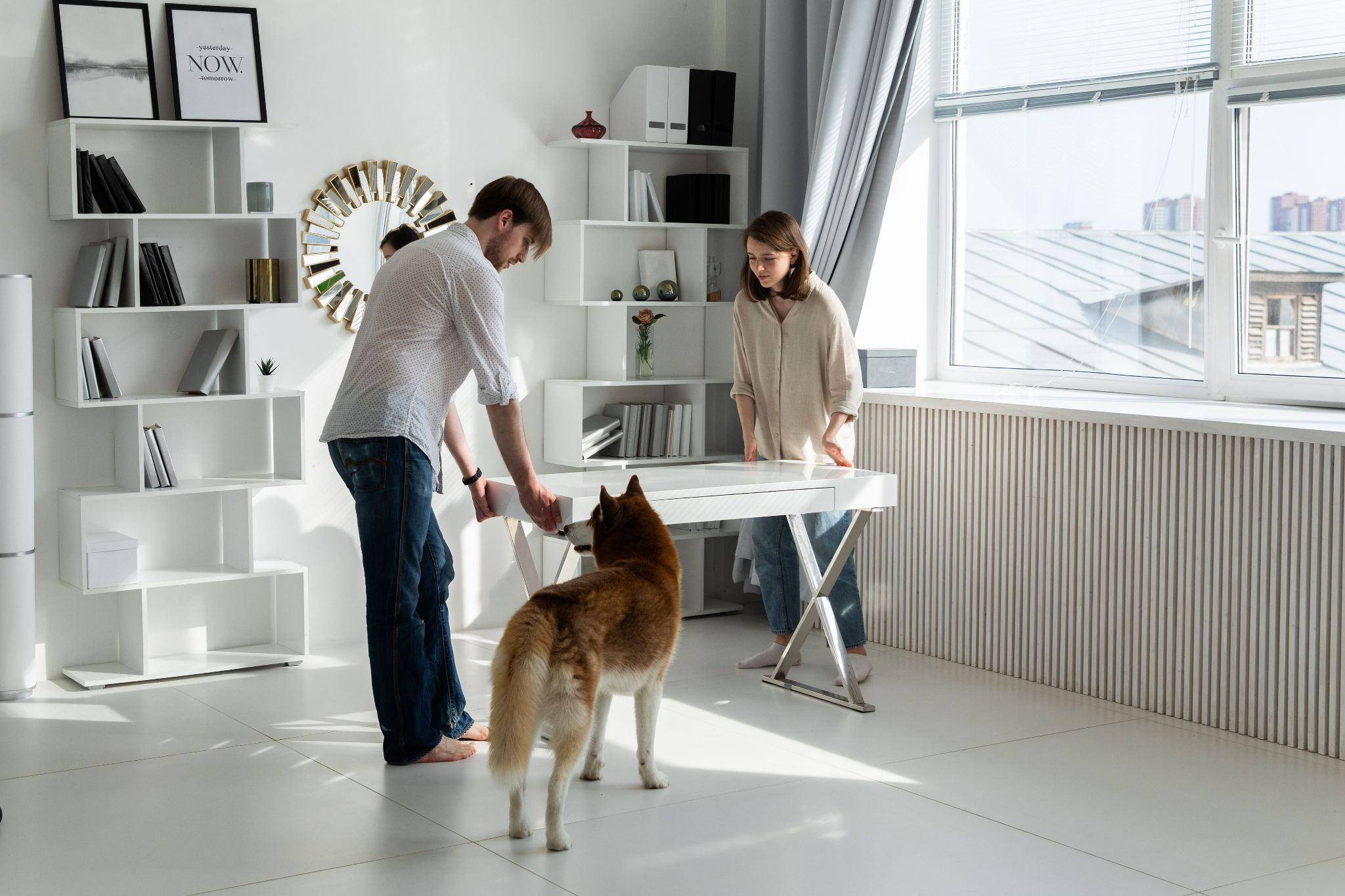 A Dog and Two Tenants in an Apartment